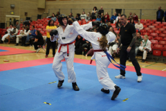 24801086959_b80866c138_o