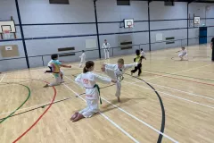 7dc4b2_5a6b6efa654747d0baa83a52fb3a9e78mv2