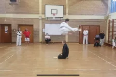 7dc4b2_c921631bf9e0491daae84df83a74d216mv2