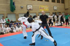 12705618_556184311208677_2859272755099943793_n